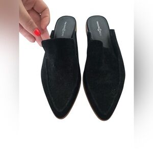 Treasure & Bond Black Suede Mules